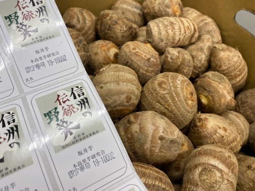 信州伝統野菜　坂井芋